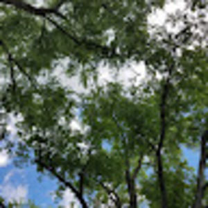 Meet your Posher, Dillon